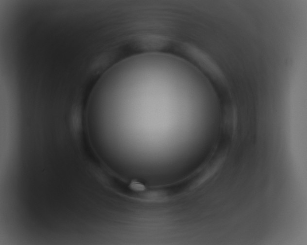 X0000101430501200807071344
