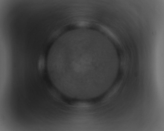 X0000101430502200807071344