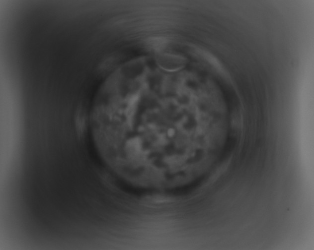 X0000101430503200807071344