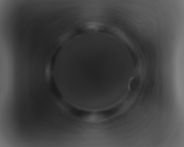 X0000101430504200807071344