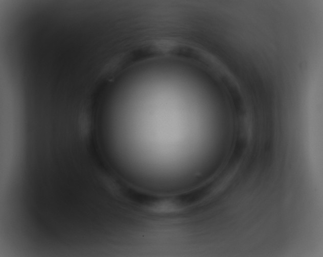 X0000101430505200807071344