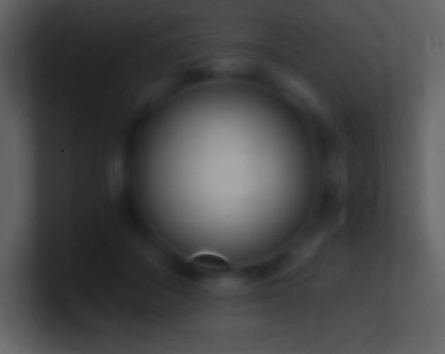 X0000101430506200807071344