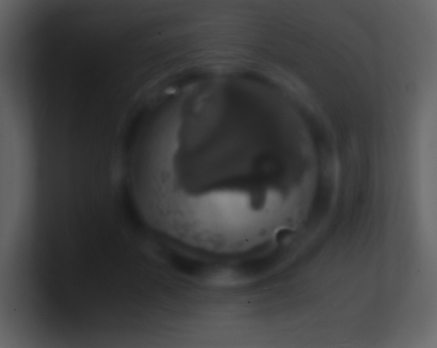 X0000101430507200807071344