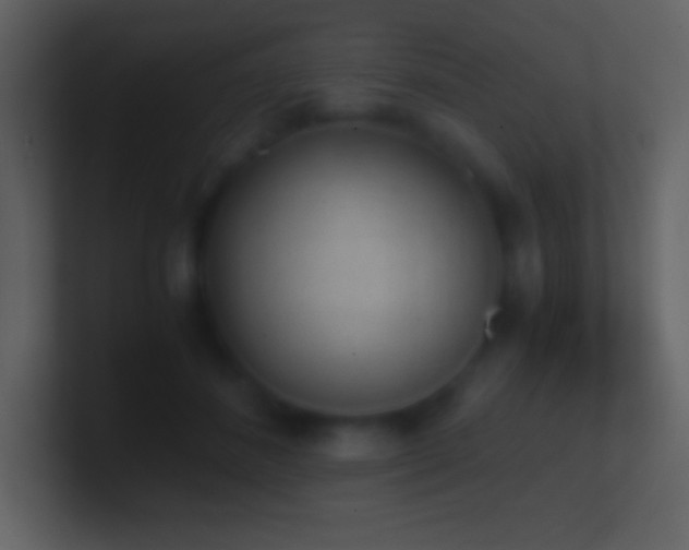 X0000101430508200807071344