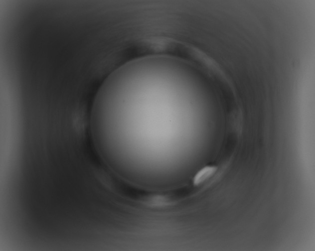 X0000101430509200807071344