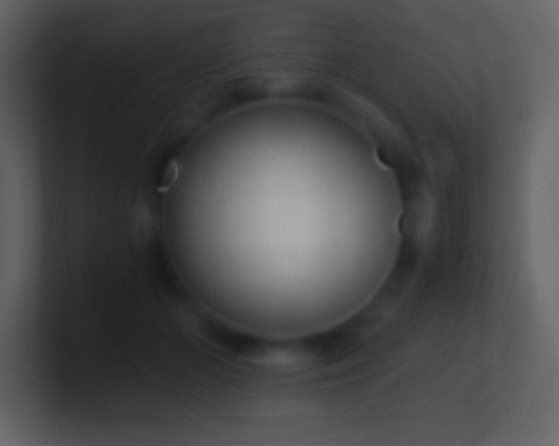 X0000101430510200807071344