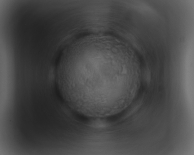 X0000101430511200807071344