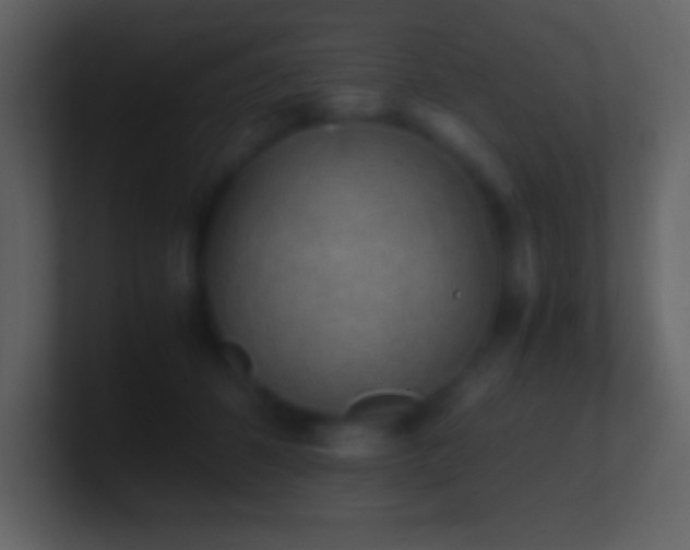 X0000101430512200807071344