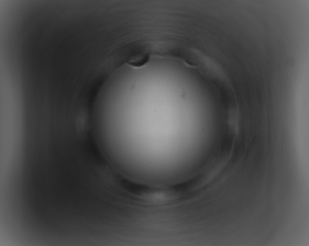X0000101430514200807071344