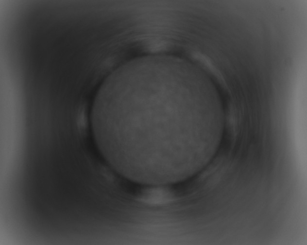 X0000101430516200807071344