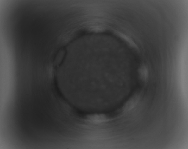 X0000101430517200807071344