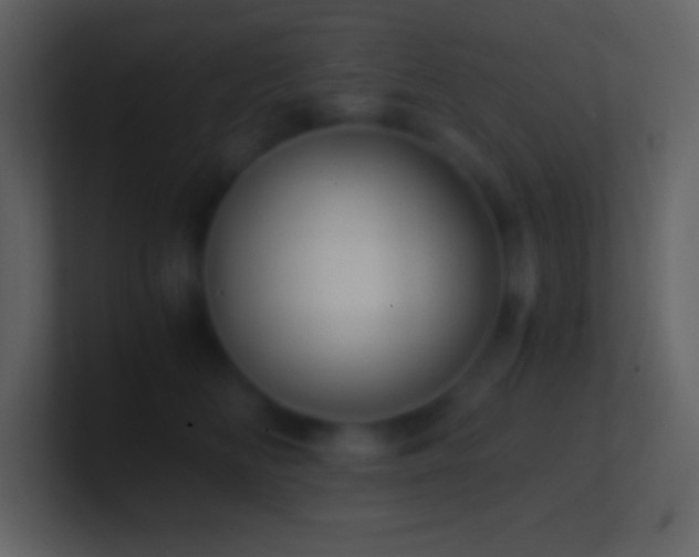 X0000101430518200807071344