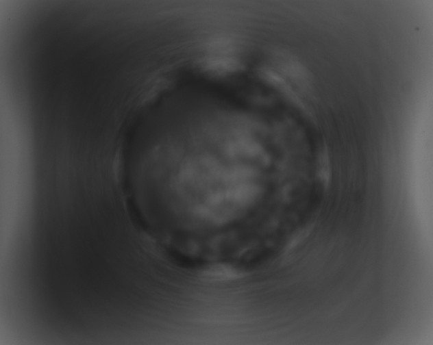 X0000101430519200807071344