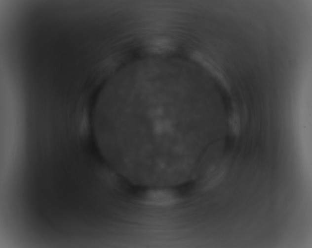 X0000101430520200807071344