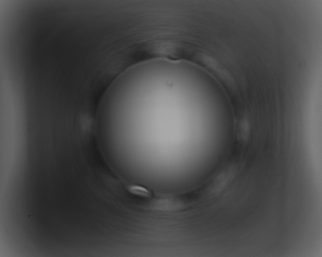X0000101430521200807071344