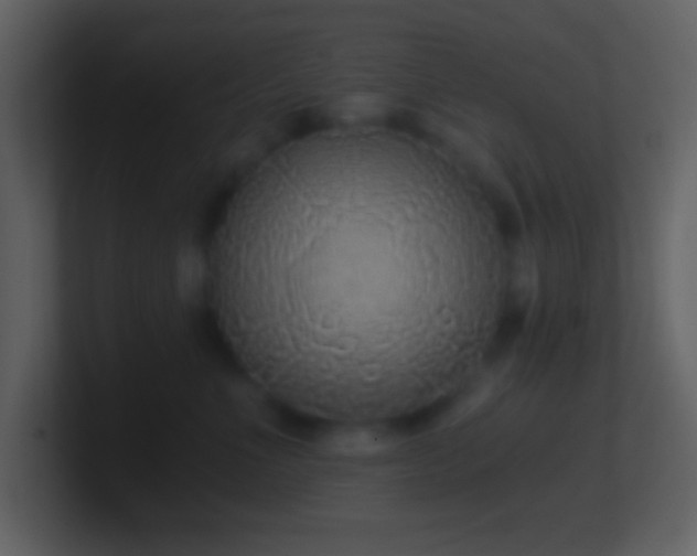 X0000101430523200807071344