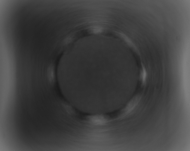 X0000101430524200807071344