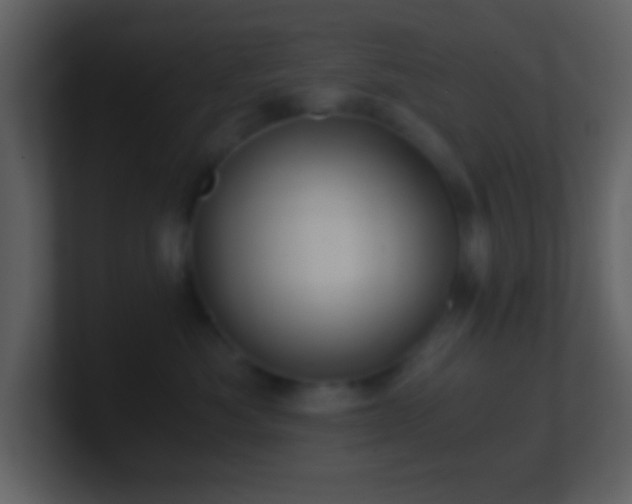 X0000101430525200807071344