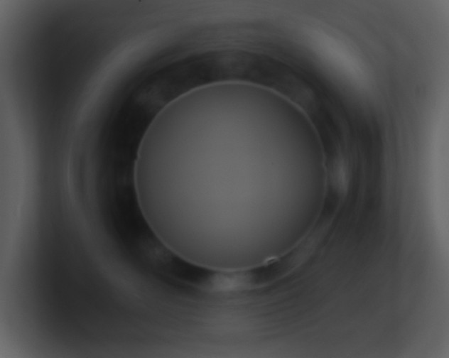 X0000101430526200807071344