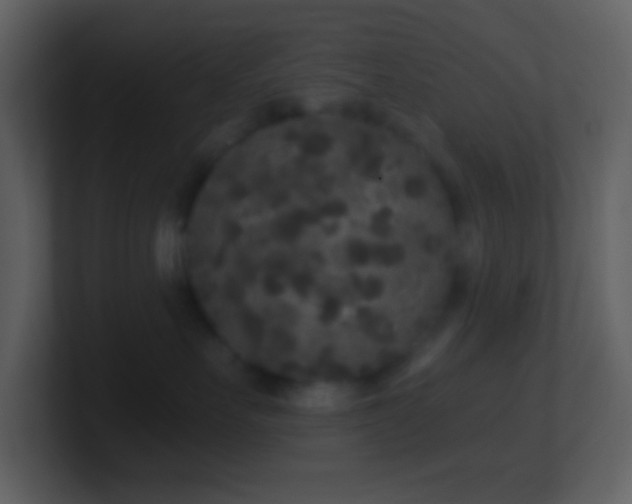 X0000101430527200807071344
