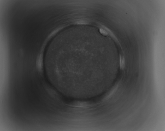 X0000101430531200807071343