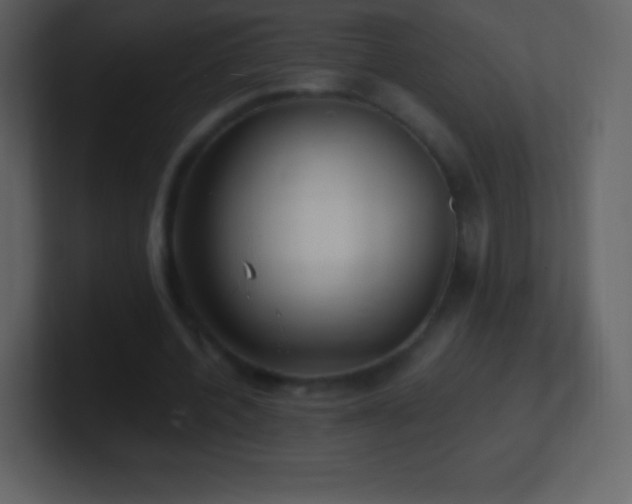 X0000101430532200807071343