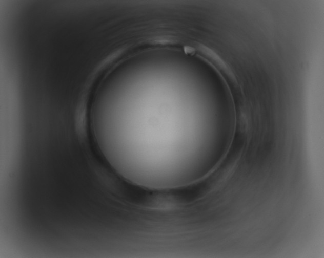 X0000101430535200807071344