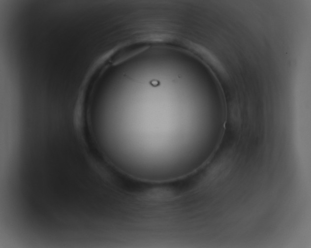 X0000101430536200807071344