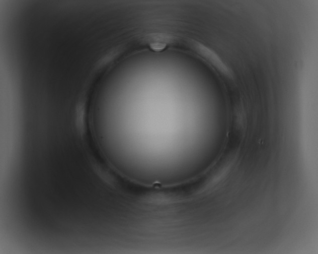 X0000101430538200807071344