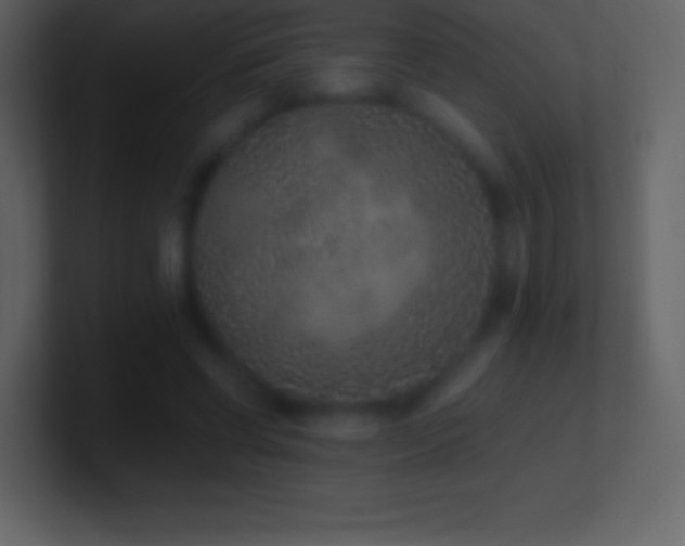 X0000101430542200807071344