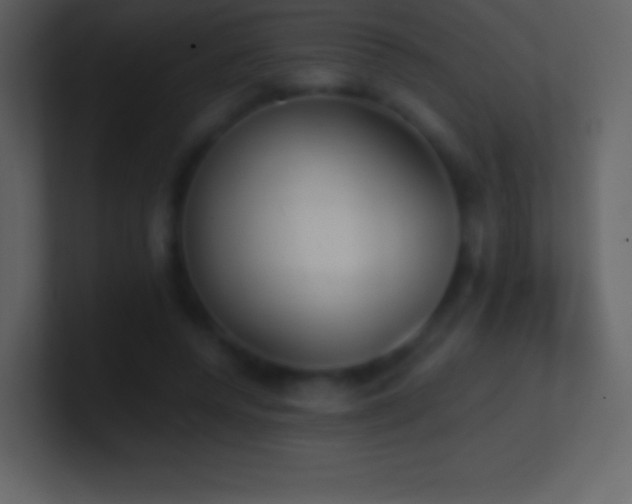 X0000101430544200807071344
