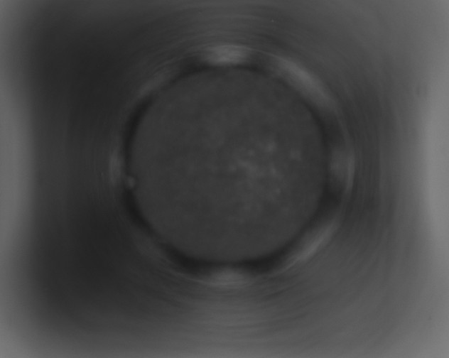 X0000101430547200807071344