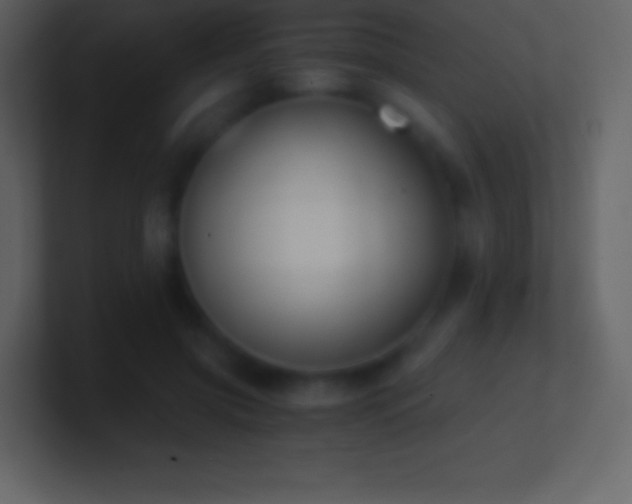 X0000101430549200807071344
