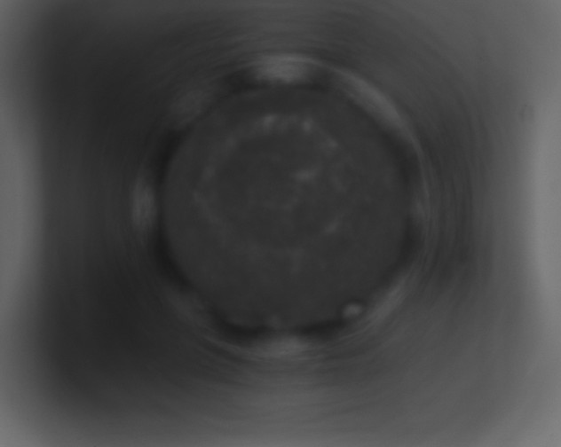 X0000101430551200807071344