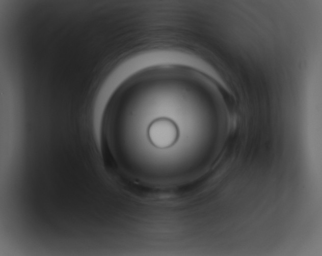 X0000101430552200807071344