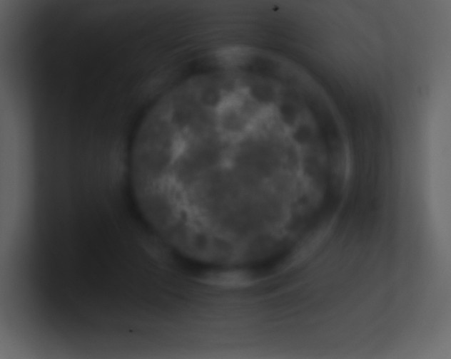 X0000101430553200807071344