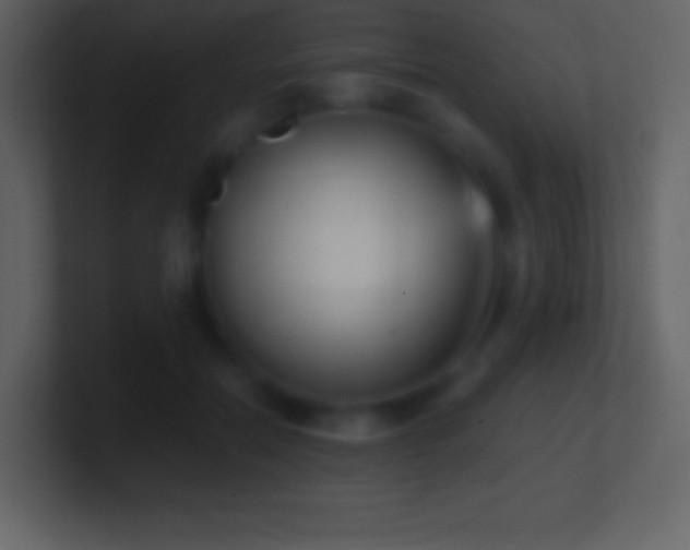 X0000101430554200807071344