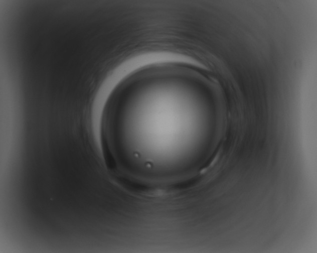 X0000101430558200807071344