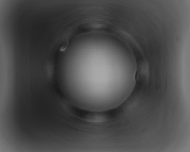 X0000101430559200807071344