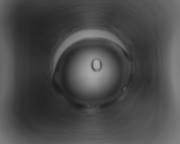 X0000101430560200807071344