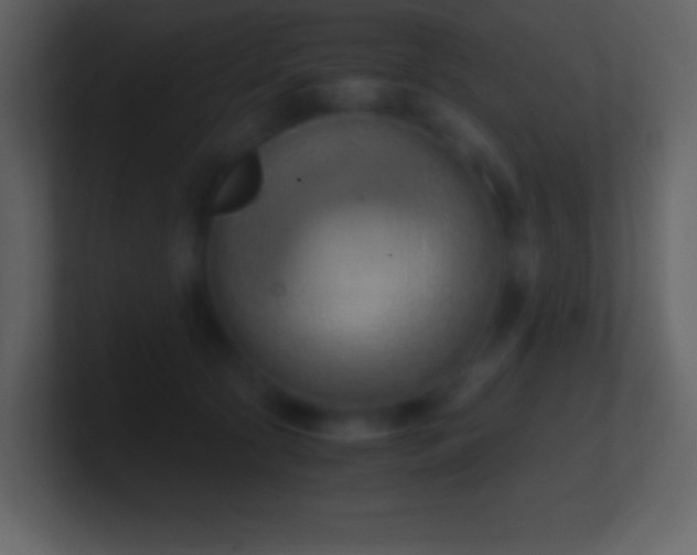 X0000101430561200807071344
