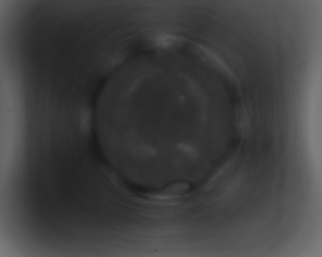 X0000101430563200807071344