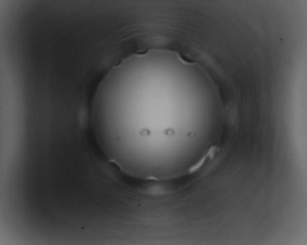 X0000101430564200807071344