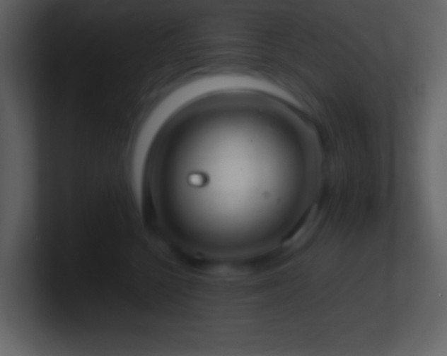 X0000101430568200807071344
