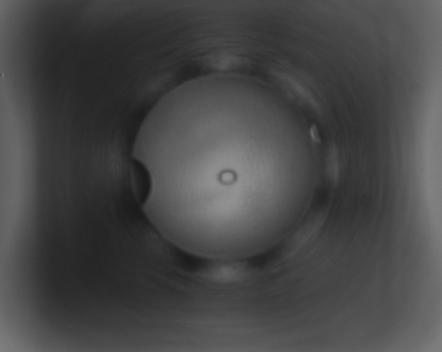 X0000101430569200807071344