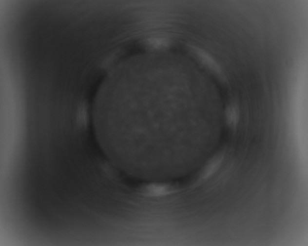 X0000101430570200807071344