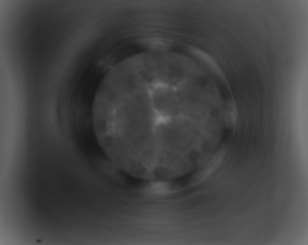 X0000101430573200807071344