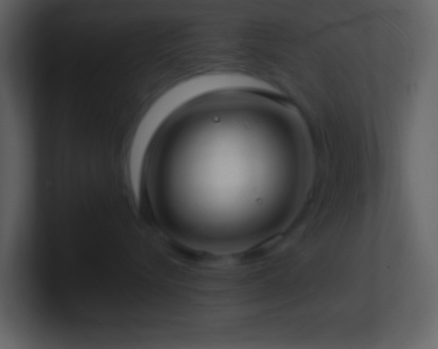 X0000101430576200807071344