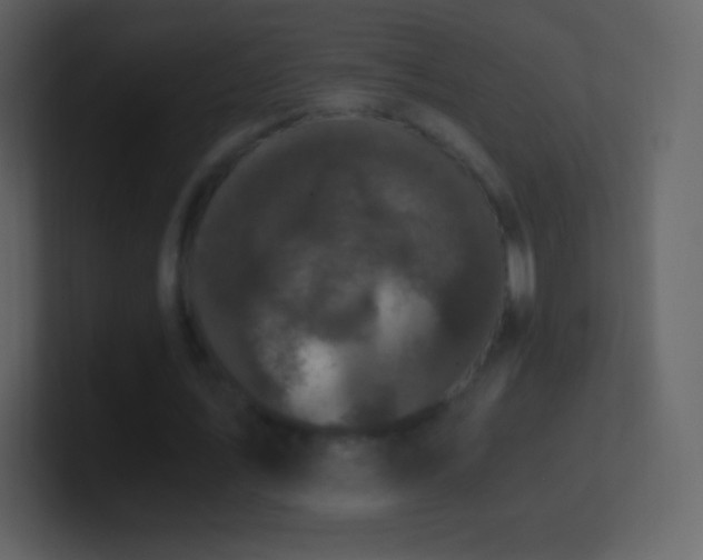 X0000101430579200807071343