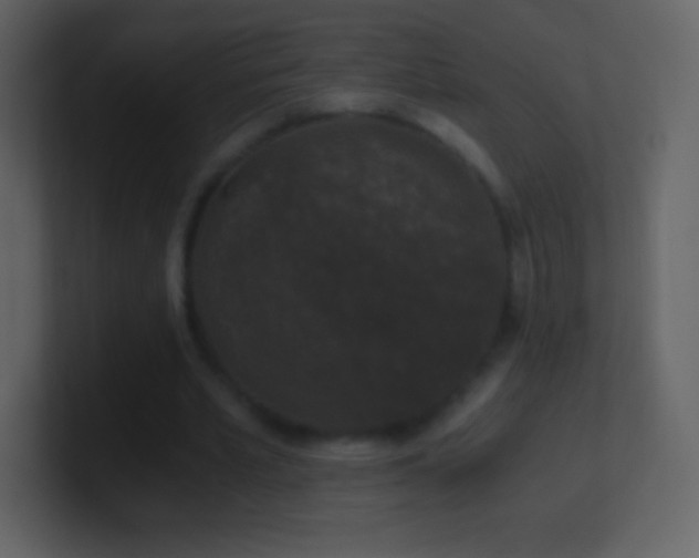 X0000101430581200807071343